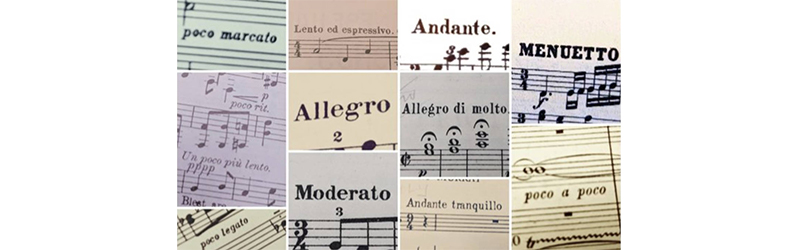 Music Terminology